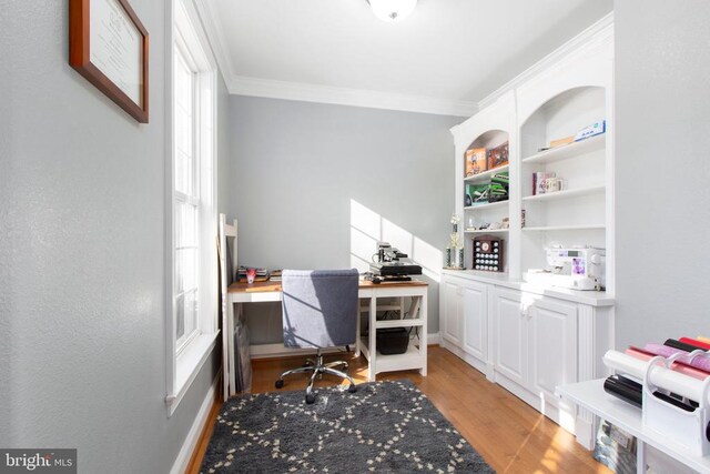 office featuring crown molding and light hardwood / wood-style flooring