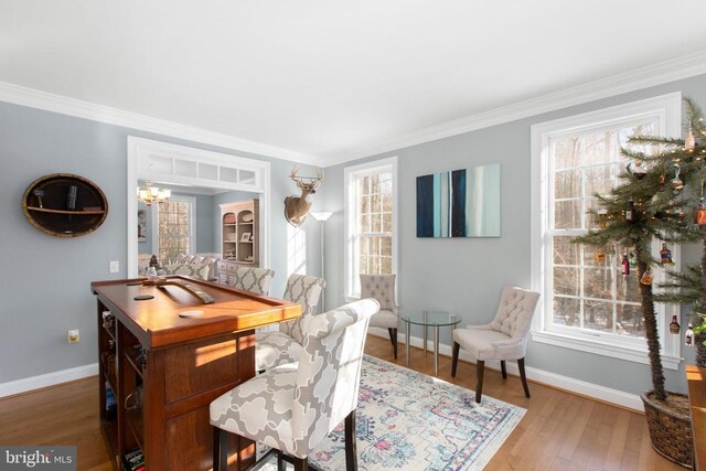 dining room with crown molding, plenty of natural light, and hardwood / wood-style floors