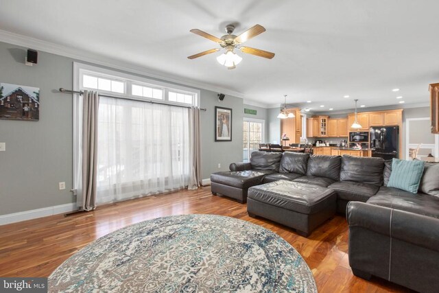 living room featuring ceiling fan, ornamental molding, and light wood-type flooring