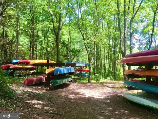 view of yard featuring a wooded view