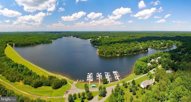 birds eye view of property with a forest view and a water view