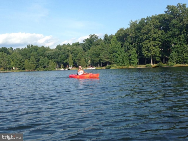 property view of water with a wooded view