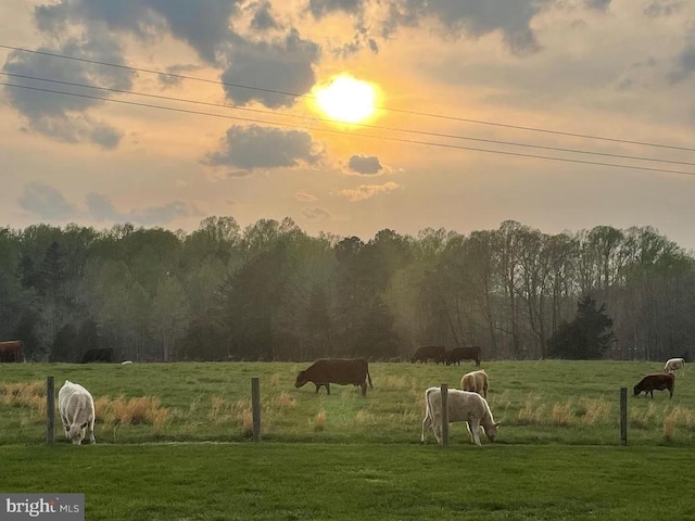 yard at dusk with a rural view