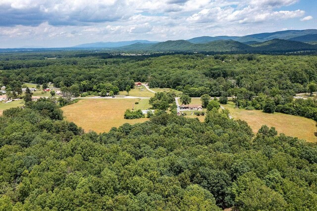 aerial view with a mountain view