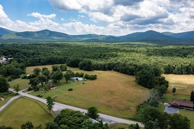 birds eye view of property featuring a mountain view