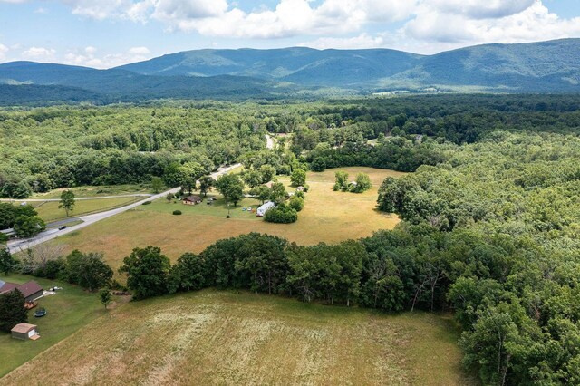 birds eye view of property featuring a mountain view