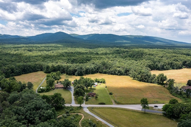 birds eye view of property featuring a mountain view