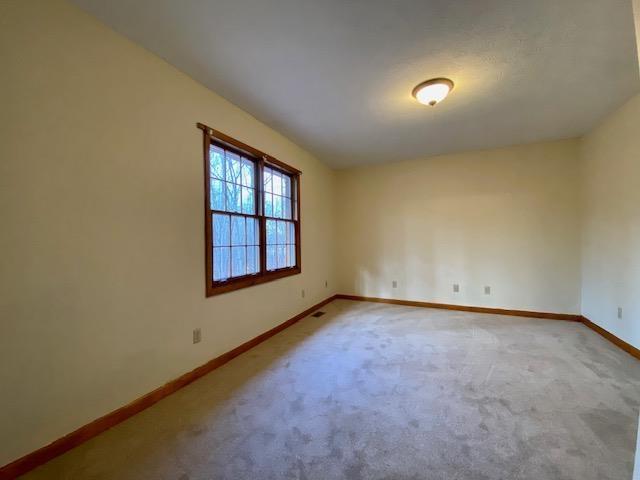 unfurnished room with carpet