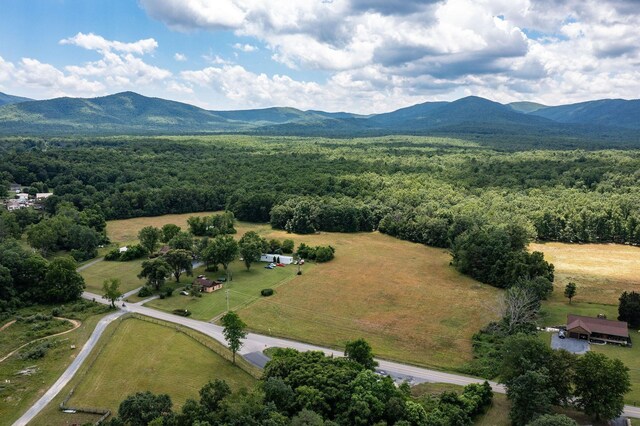 birds eye view of property featuring a mountain view