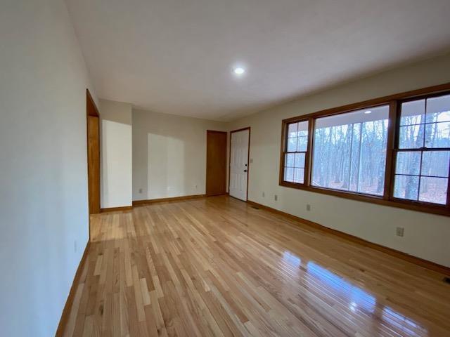 unfurnished room featuring a healthy amount of sunlight and light hardwood / wood-style flooring