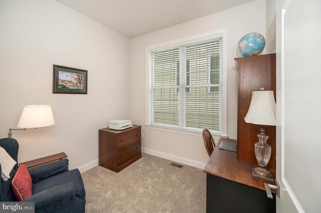 carpeted office with a healthy amount of sunlight