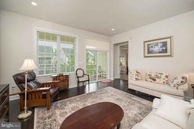 living room featuring dark hardwood / wood-style flooring