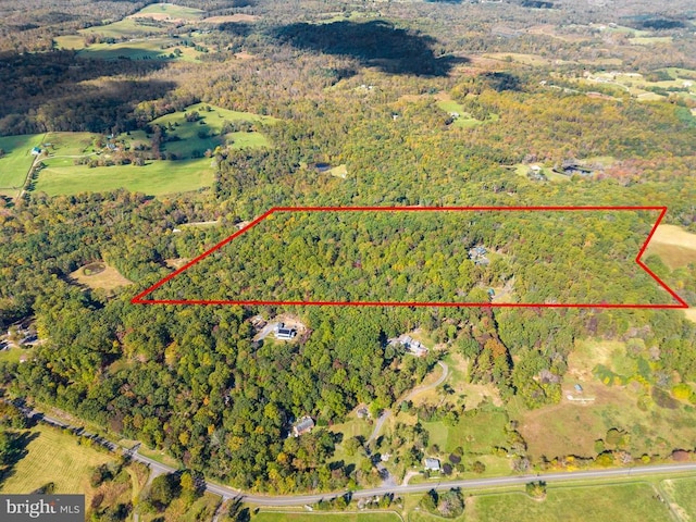 birds eye view of property featuring a forest view