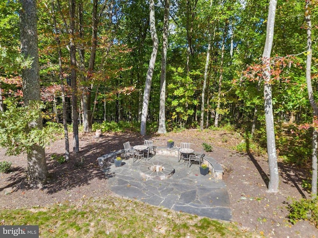 view of yard featuring a view of trees and a patio