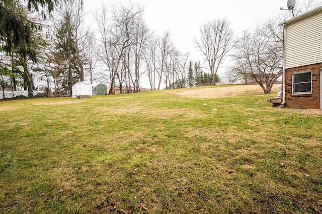 view of yard featuring a storage unit