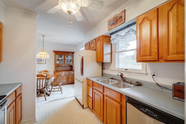 kitchen with sink, crown molding, hanging light fixtures, ceiling fan, and stainless steel appliances