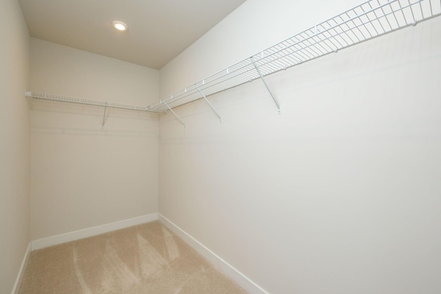 walk in closet featuring carpet floors