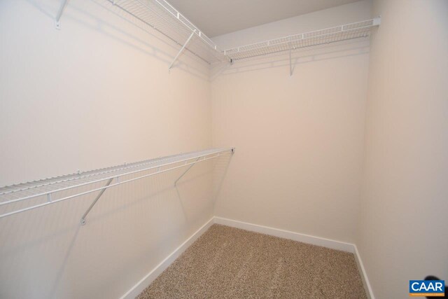 walk in closet with carpet