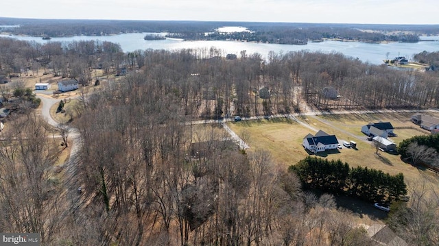 birds eye view of property featuring a water view and a view of trees