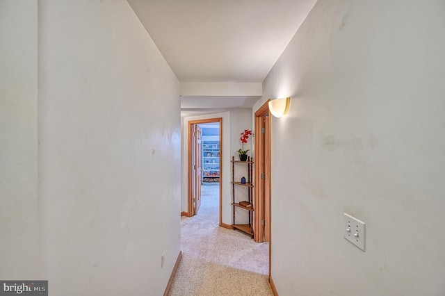 hall with light carpet and baseboards