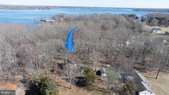 bird's eye view with a water view and a wooded view