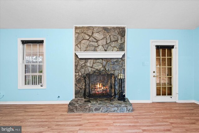 living room featuring wood-type flooring and a fireplace