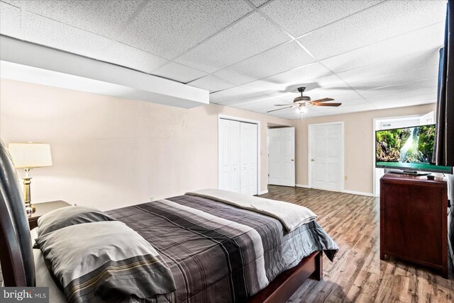 bedroom with hardwood / wood-style floors, a drop ceiling, and ceiling fan