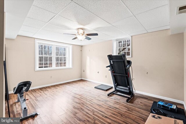 exercise area with ceiling fan, wood-type flooring, and a drop ceiling