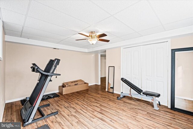 workout area with ceiling fan, a paneled ceiling, and light wood-type flooring