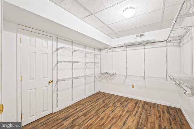 walk in closet featuring a paneled ceiling and dark hardwood / wood-style flooring