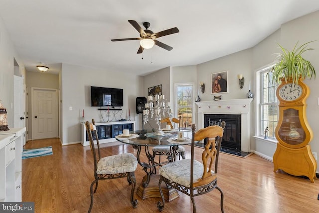 dining area featuring light wood-type flooring, ceiling fan, baseboards, and a glass covered fireplace