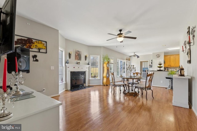 dining room with light wood-style floors, a glass covered fireplace, baseboards, and a ceiling fan