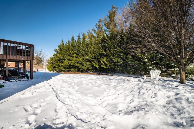 view of yard covered in snow