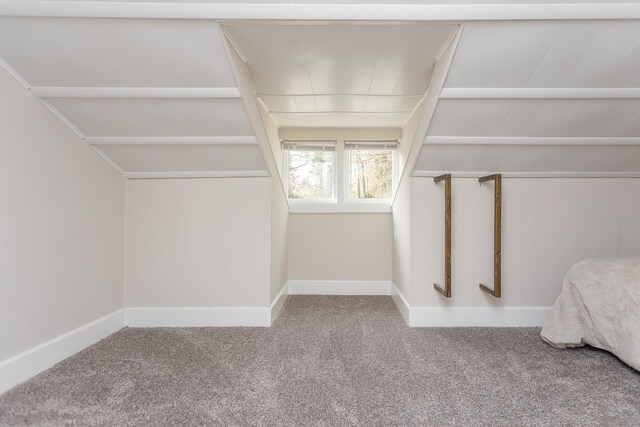 walk in closet with vaulted ceiling and carpet