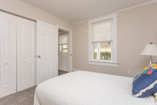 carpeted bedroom with a closet