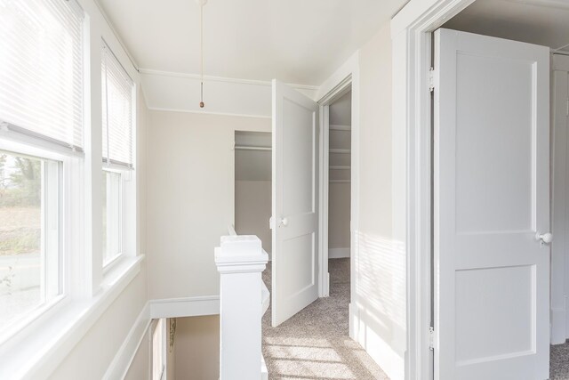 hall featuring light colored carpet