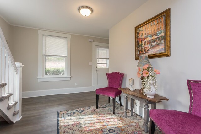 living area with crown molding, a wealth of natural light, and dark hardwood / wood-style floors