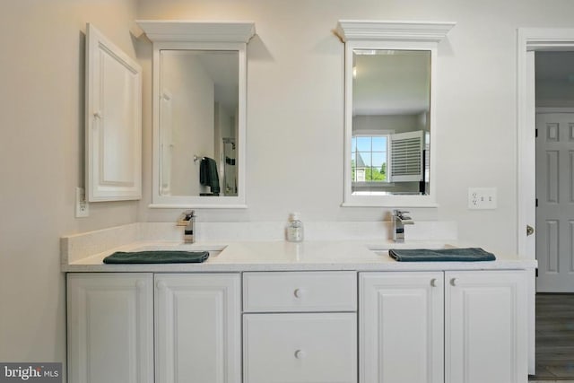 full bathroom featuring double vanity and a sink