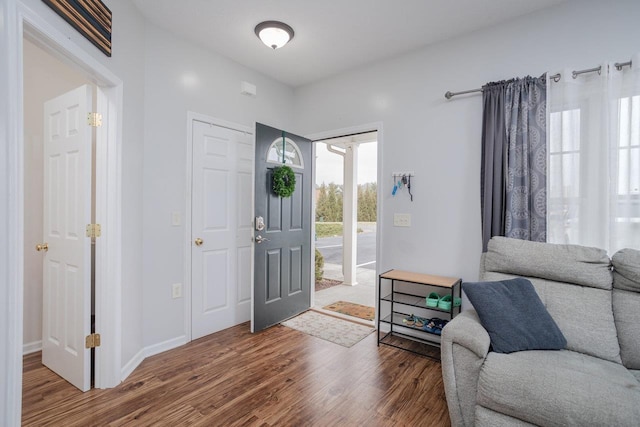 entrance foyer featuring wood finished floors, baseboards, and a wealth of natural light