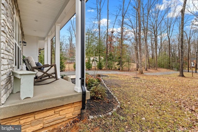 view of yard with covered porch