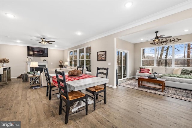 dining area with crown molding, ceiling fan, and hardwood / wood-style floors