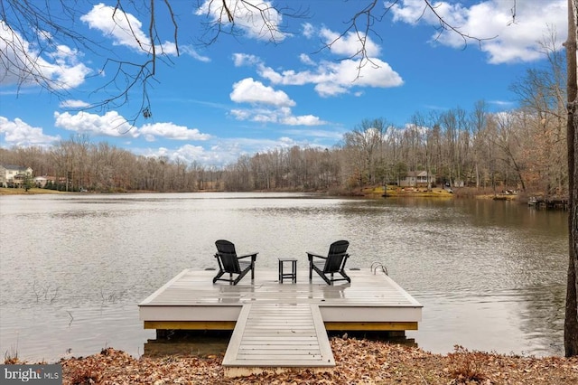 dock area featuring a water view