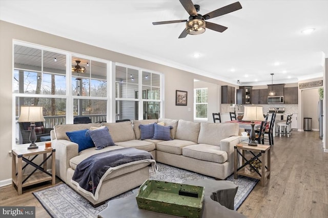 living room with ceiling fan, crown molding, and light wood-type flooring