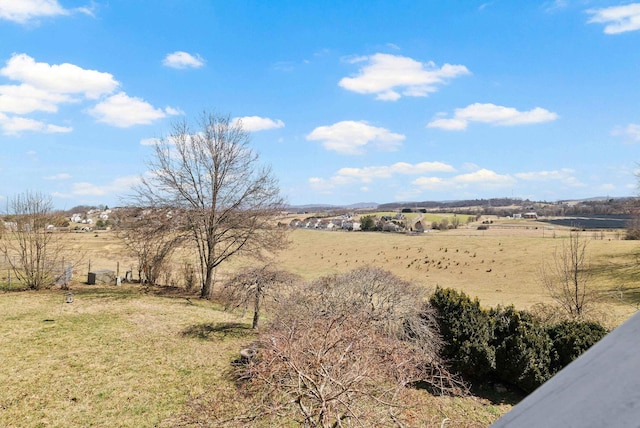 view of yard featuring a rural view