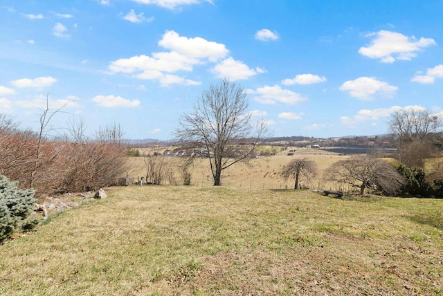 view of yard featuring a rural view