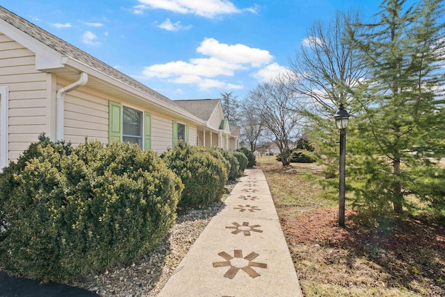 view of property exterior with roof with shingles