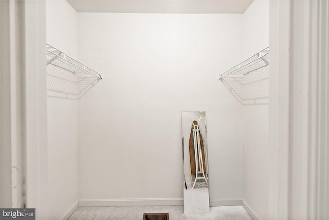 view of walk in closet