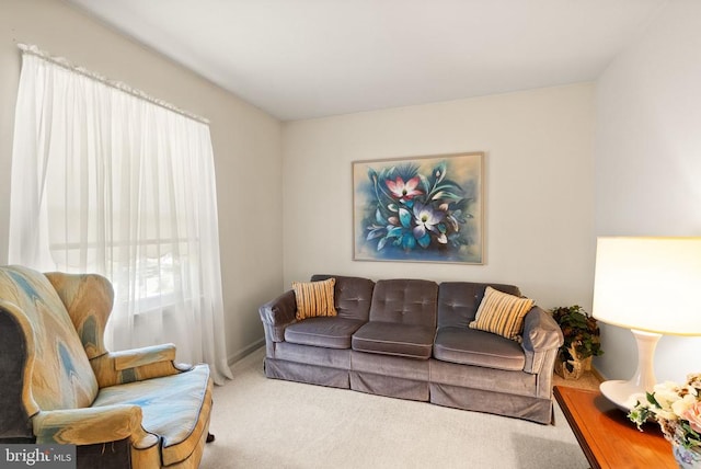 living room with carpet
