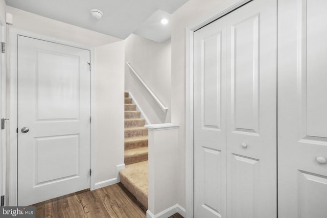 staircase with hardwood / wood-style floors