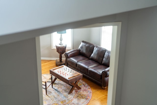 living room featuring hardwood / wood-style flooring